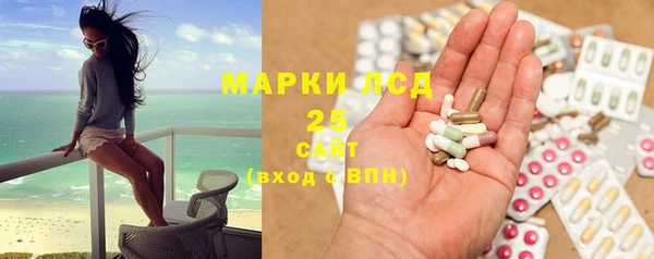 винт Каменка
