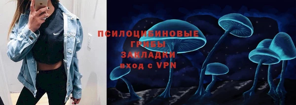 винт Каменка