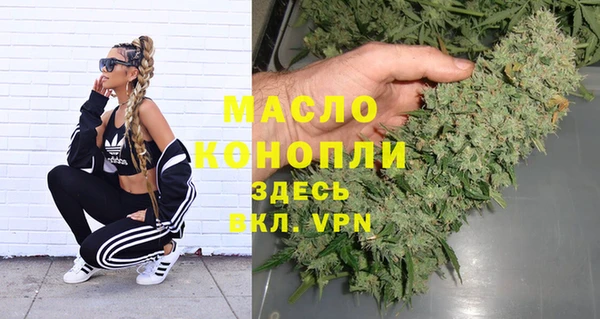 винт Каменка