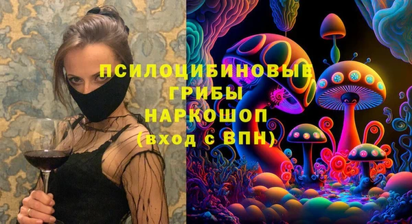 мет Каменногорск