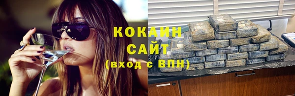 винт Каменка