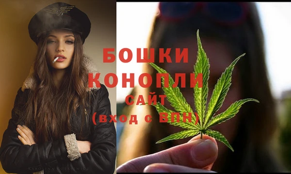 винт Каменка