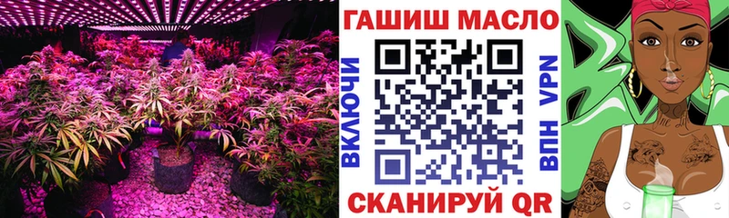 ТГК Wax  Купить закладки  Володарск 